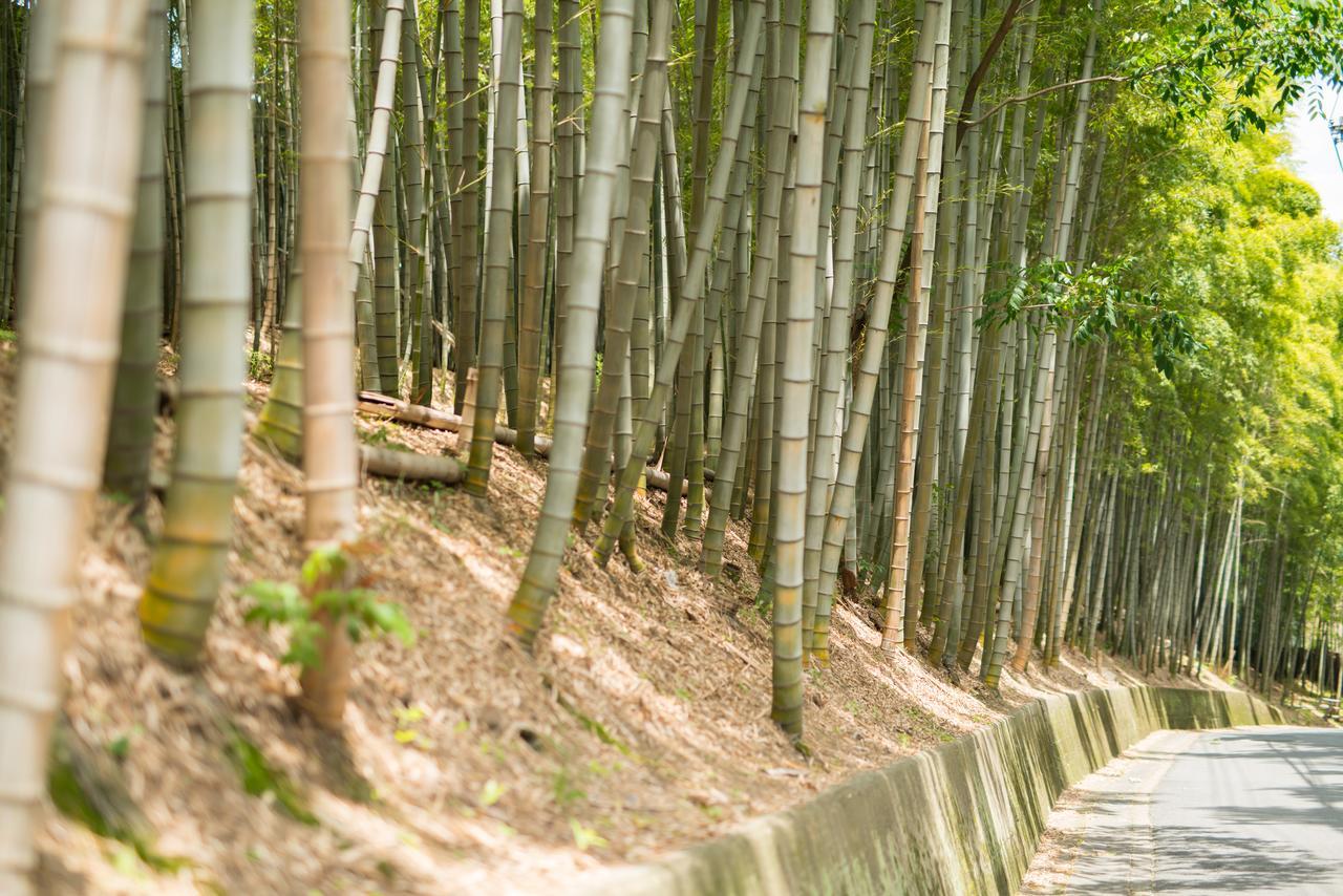 Kyoto Chikuan Daire Dış mekan fotoğraf